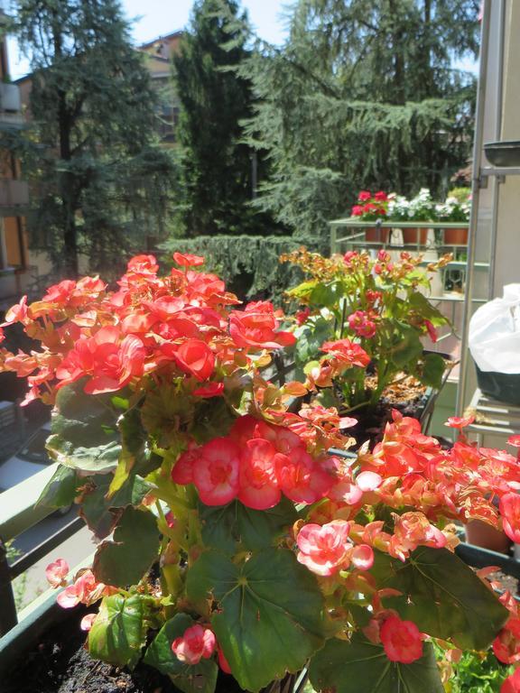 B&B Casa Patavina Padova Ngoại thất bức ảnh